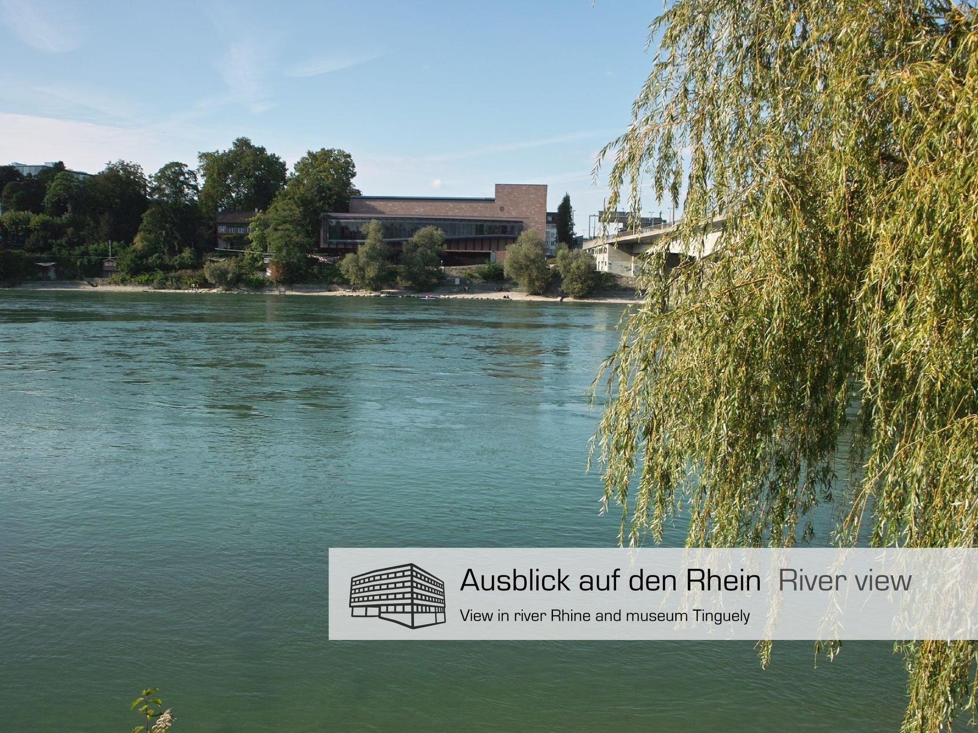 Dasbreitehotel Am Rhein Basilea Esterno foto
